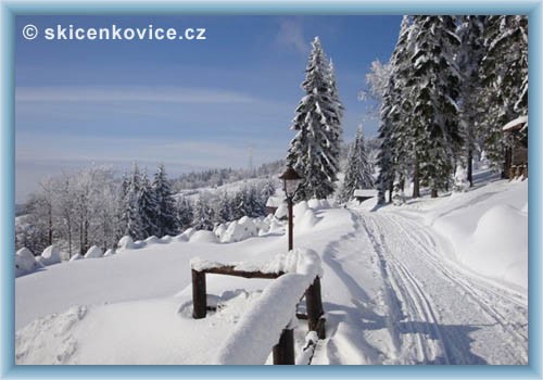 Ski �enkovice - Bukov� hora