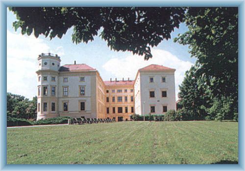 Schloss in Str�nice