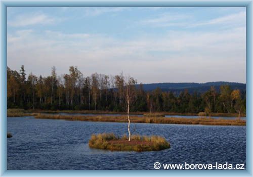 Borov� Lada - Torfmoor Chalupsk�