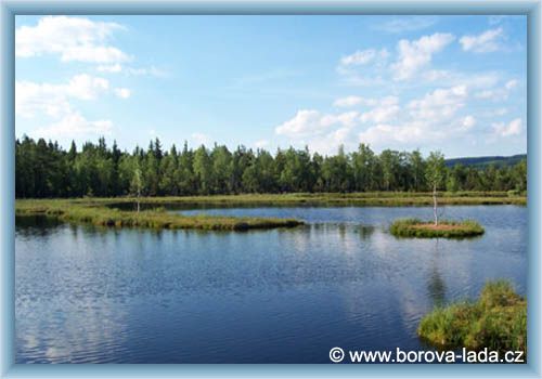 Borov� Lada - Torfmoor Chalupsk�