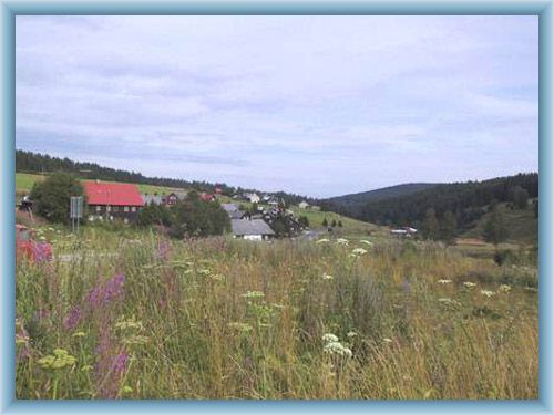 Anblick auf die Gemeinde Kvilda