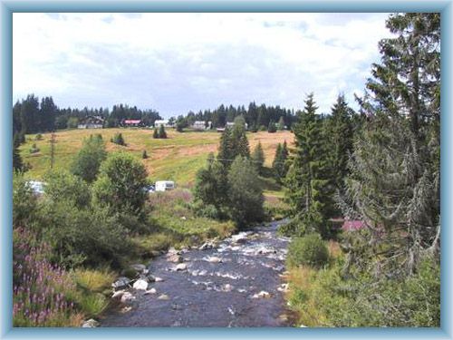 Fluss Vydra in Modrava