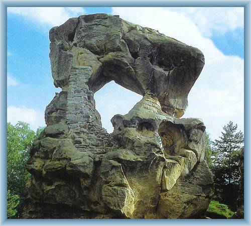 Rot�tejn