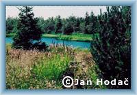 Teich �ern� rybn�k