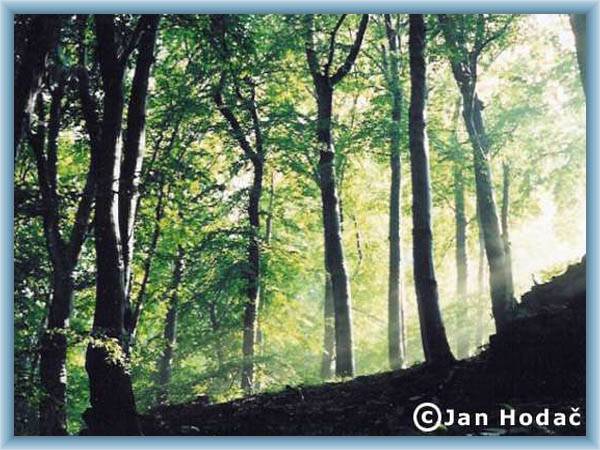 Naturlehrpfad von Osek