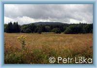 Wiese unter Ple�ivec