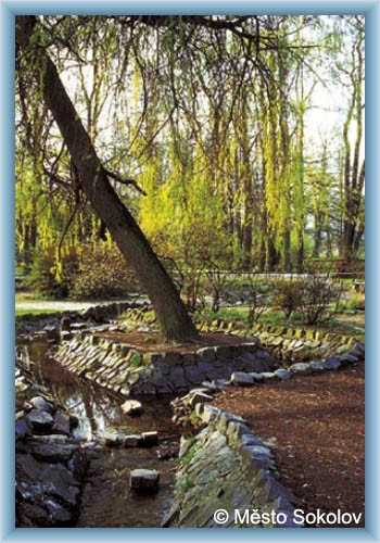 Sokolov - Park
