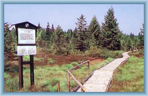 Der Lehrfussweg durch den Torfgrund Bo�idarsk�