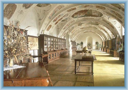 Schlossbibliothek in N�m욝 nad Oslavou