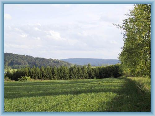 Umgebung von Prachovice