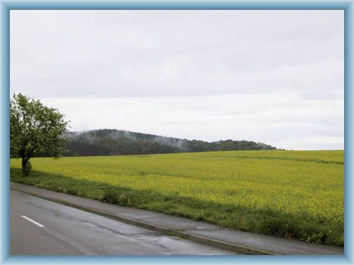 Umgebung von Prose�