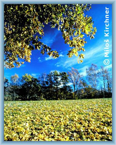Herbst auf dem Bach B�l� potok