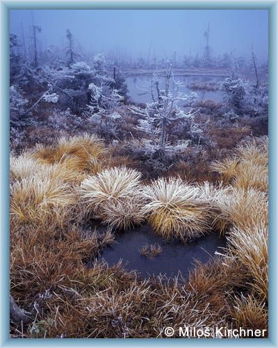 Frost auf �ihadla