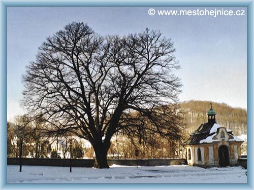 Hejnice