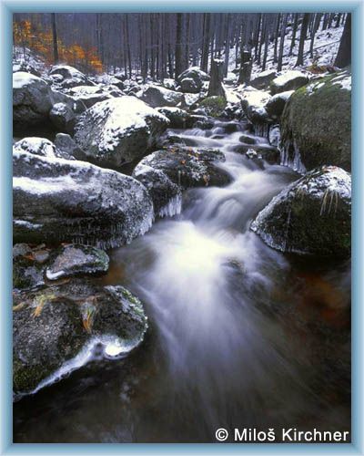 Der erste Frost