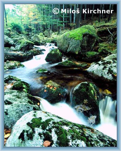 Iserbach