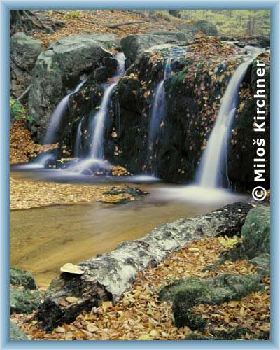 Herbst in Mal� �tolpich