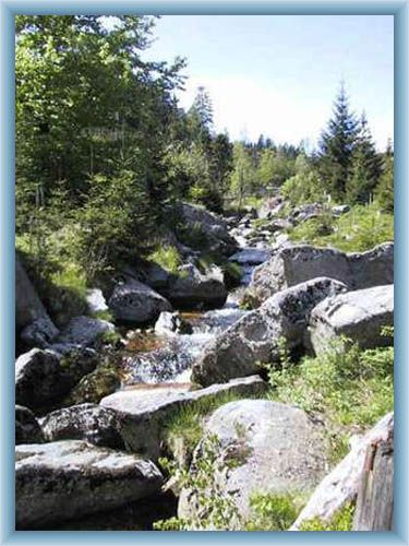 Stromschnelle des Bachs