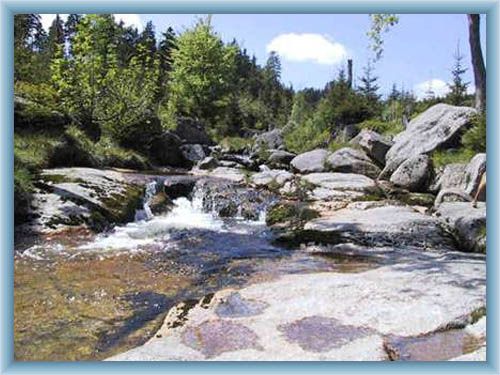 Lehrpfad durch das Tal