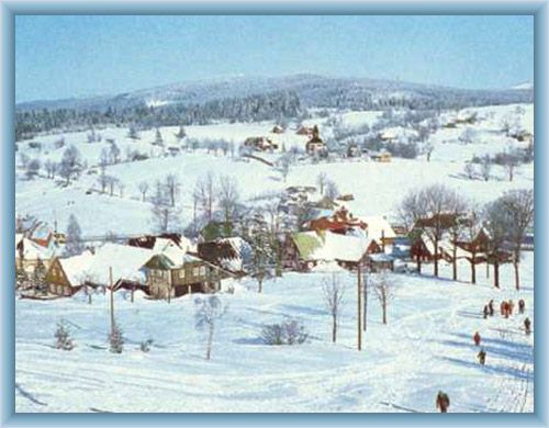 Ko�enov