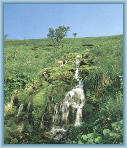 Quelle des Flusses Moravice in Velk� kotlina