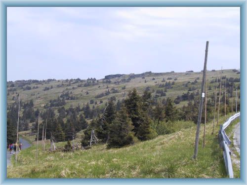 Prad�d - Plattenfelsen