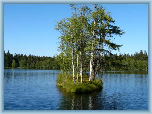 Teich Kladsk� rybn�k