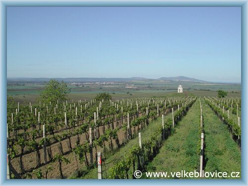 Velk� B�lovice