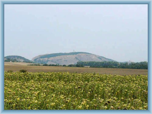 D�v�n von Mikulov