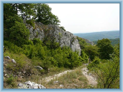 Naturreservat D�v�n