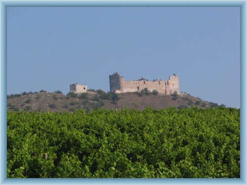 Burgruine D�v�� hrad