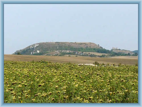 Naturreservat Tabulov�