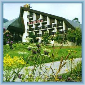 Hotel Hani�ka***