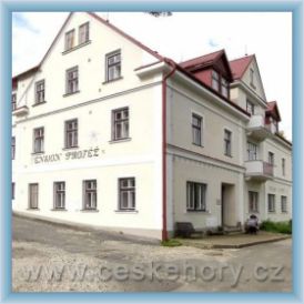Pension Prot�