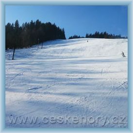 Ski Areal Hartmanice