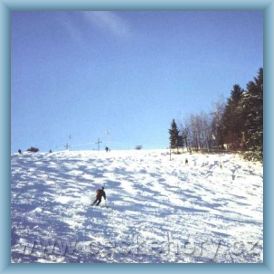 Skiareal Dale��n