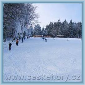 SKIAREAL TES�K