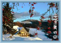 Horn� Rokytnice
