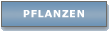 Pflanzen