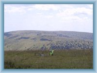 Anblick aus Praděd zu Ovčárna im Sommer