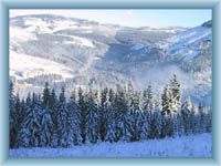 Blick aus Přední Planina