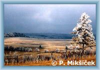 Winterdecke im Erzgebirge