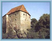 Burg Skalná