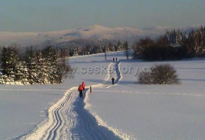 Appartement AllSeason