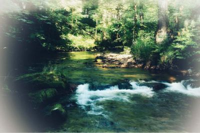 Anna in der Flussbucht