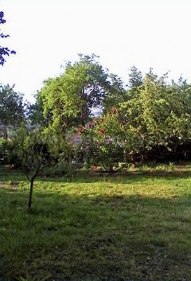 Appartement Zlatá Koruna