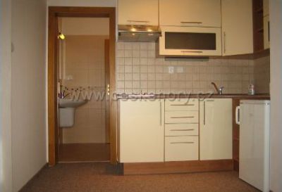 Hütte - Appartement Čistá v Krkonoších, Černý Důl