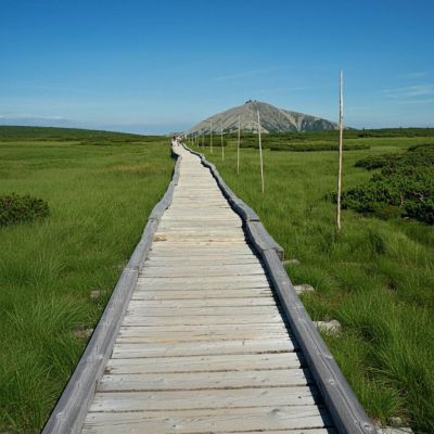 Appartement Mlýn 208