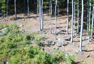 Appartement V údolí