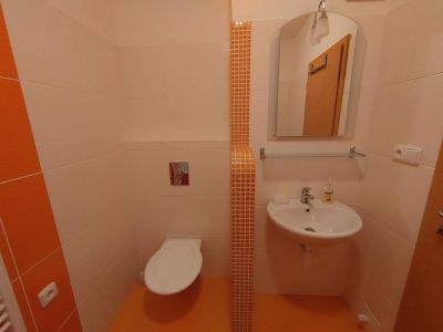 Gebirgsappartements Horní Lipová